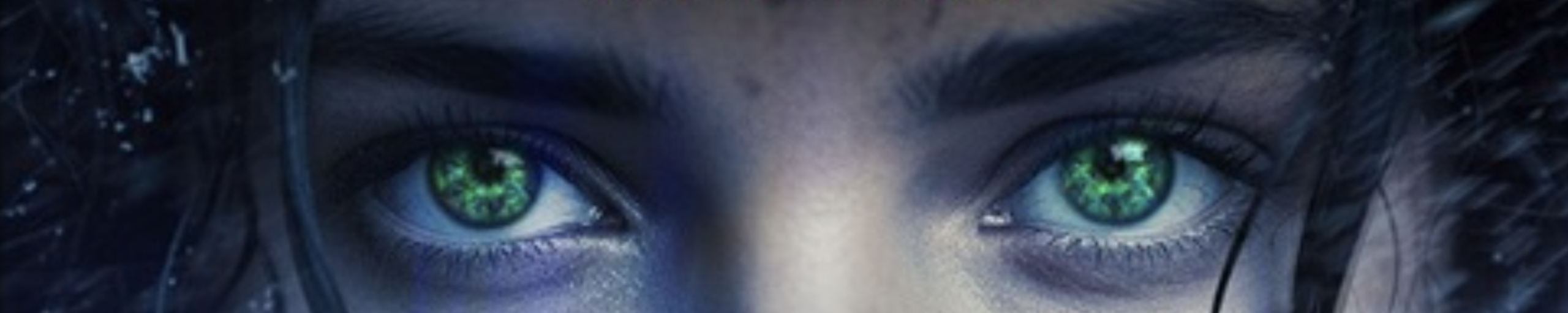 Leon Kildea book header